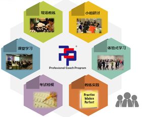 想成為企業(yè)青睞的教練？這門網(wǎng)絡技術(shù)認證課不容錯過