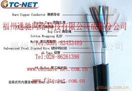 福州通馳網(wǎng)絡科技通訊電纜產(chǎn)品列表與網(wǎng)絡信息處理解決方案